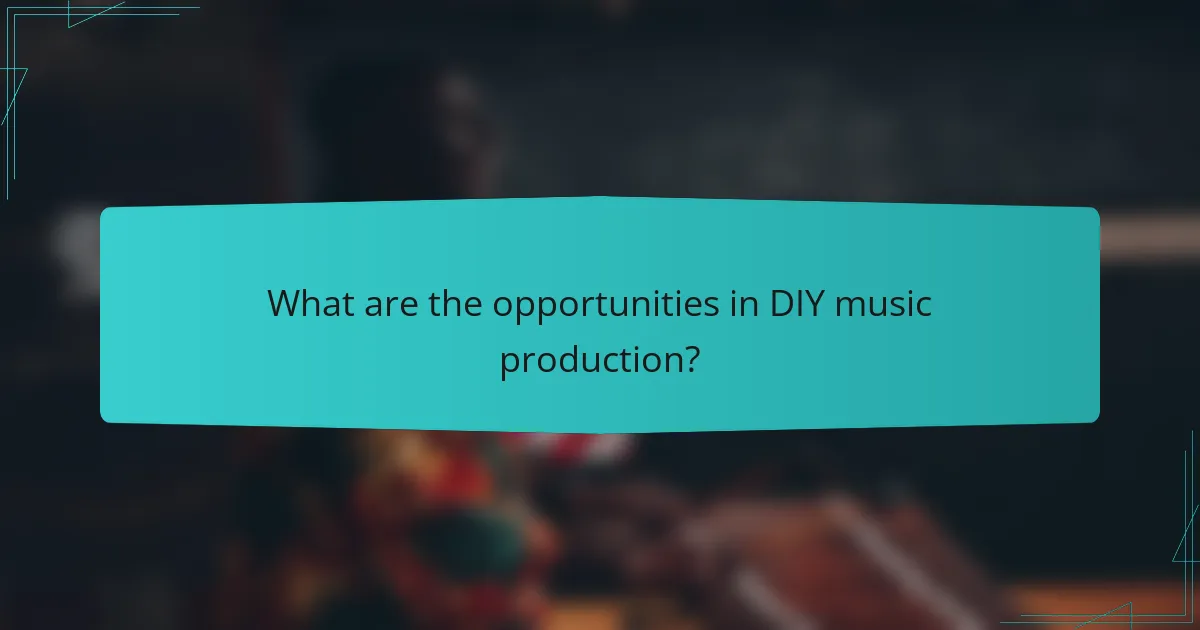 What are the opportunities in DIY music production?