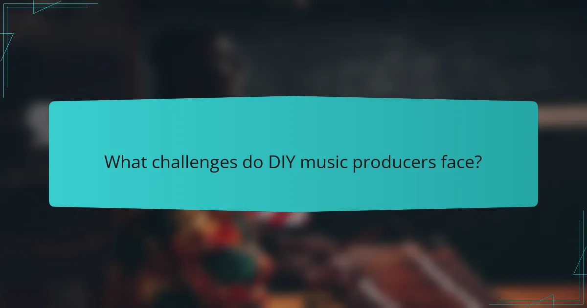 What challenges do DIY music producers face?